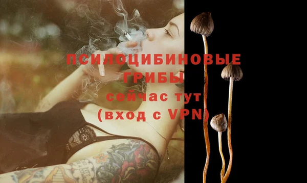 амф Беломорск