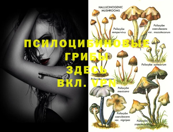 ешки Белокуриха