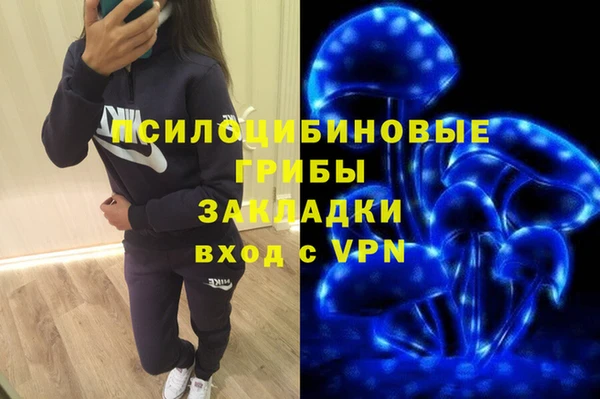 амф Беломорск