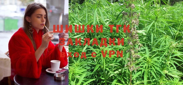 ешки Белокуриха