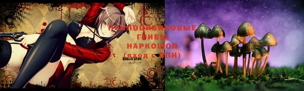 ешки Белокуриха