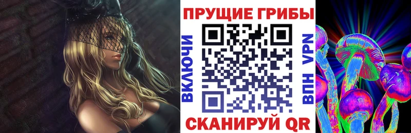 OMG tor Невель Псилоцибиновые грибы Psilocybe дарнет шоп